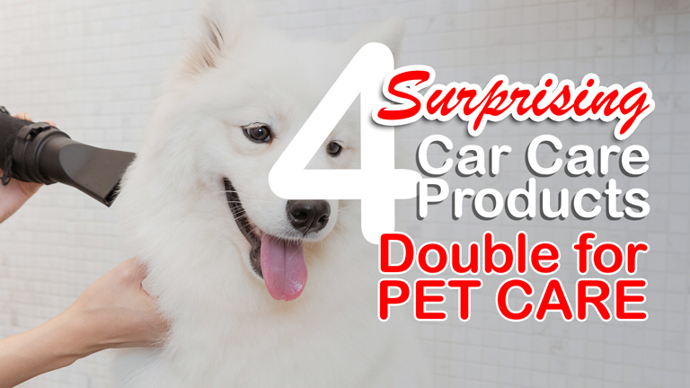 Pet Care Products and Car Care